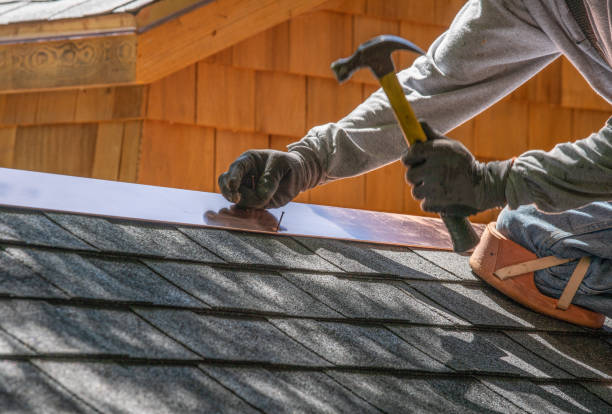 Best Gutter Installation and Repair  in Mission, TX